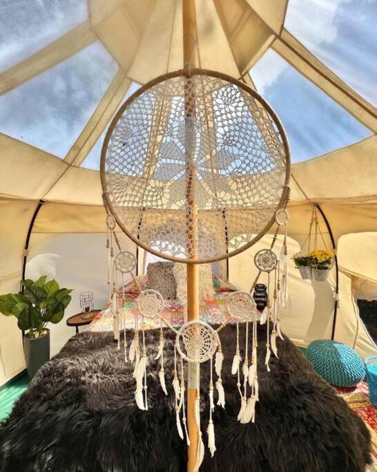 The Pisces-A Stargazing, Luxury Glamping Tent Rogersville Exteriör bild