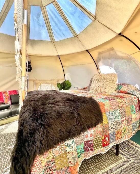 The Pisces-A Stargazing, Luxury Glamping Tent Rogersville Exteriör bild