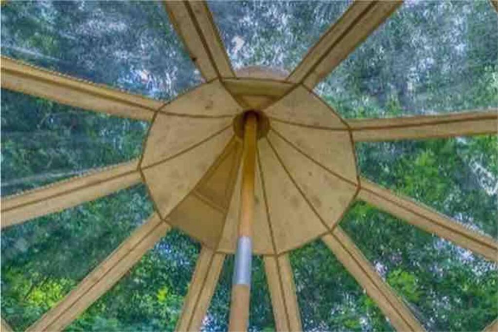 The Pisces-A Stargazing, Luxury Glamping Tent Rogersville Exteriör bild