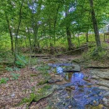 The Pisces-A Stargazing, Luxury Glamping Tent Rogersville Exteriör bild